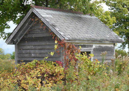 building behind art barn