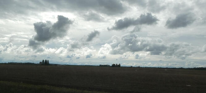 skies