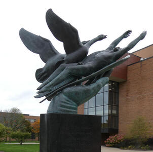 birds and man in hand