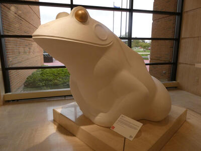 friendly frog with golden eyes