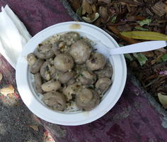 Mushroom risotto