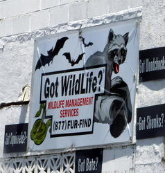 signage