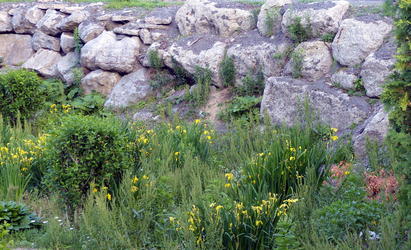 stone fence