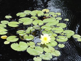 italian gardens