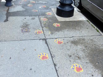 animalkind pawprints
