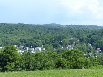 chestnut view