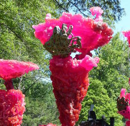 pink fountain