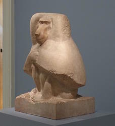 baboon