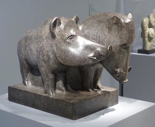 wild boars