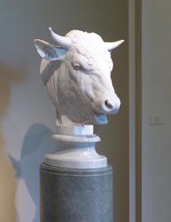 moo