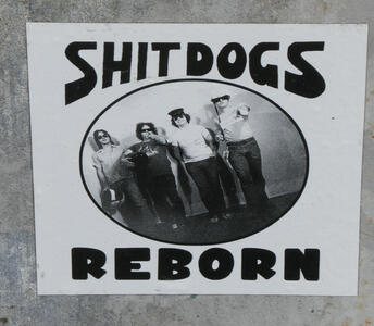 Sticker with four men in sunglasses; text: Shit dogs reborn