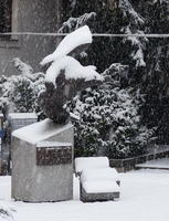 Snow-covered abstract sculpture