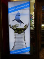 Poster of shark in an art glass bowl: “Do you need a glass of water?”