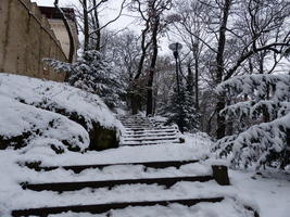 Stairs showing steepness of slope