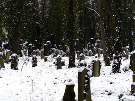 Multiple plain headstones