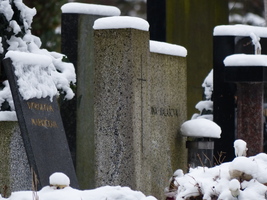 Multiple plain rectangular grave markers