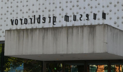 Lower case letters vorarlberg museum. They are mounted at an angle so that, in tis picture, the letters appear reversed.