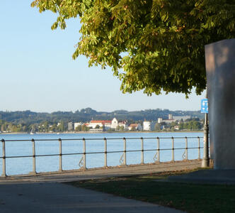View of lake. In foreground, a tree. In background, houses and large buildings.
