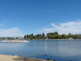 Lake at park, with small island in middle