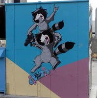 Raccoons on skateboards