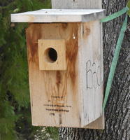 Wooden box in garden