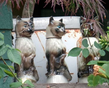 Three ceramic siamese cats