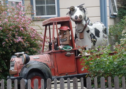 Red pickup truck with cow in back