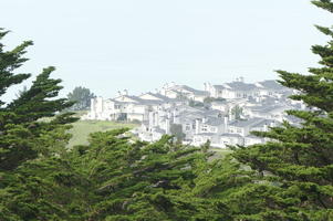 Houses in background; foliage in foreground