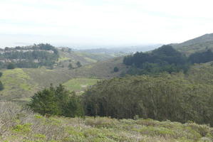 Foliage and hillsides view