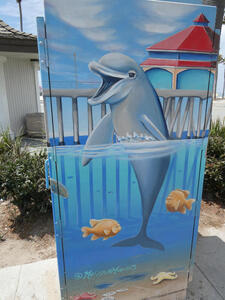 dolphin