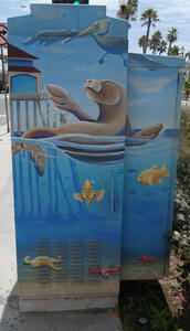 sea lion