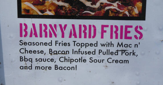 bad kerning on words “Barnyard Fries”