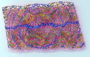 Many interlocking pastel-colored plastic rods that form a parallelogram.