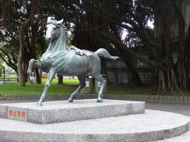 horse