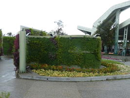 flower wall