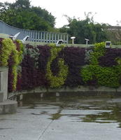 flower wall