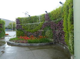 flower wall