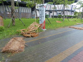 typhoon destroyed house