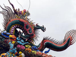 painted roof dragon