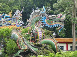 roof dragon