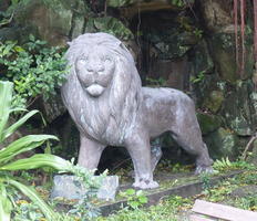 stone lion