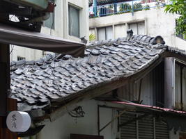 oddly warped roof