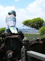 view from top