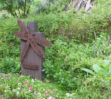 dragonfly sign