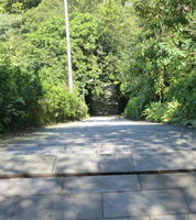 view down stairway