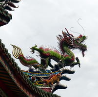 longshan green dragon