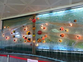 ladybug sculptures on wall