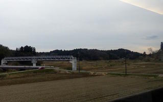 Generic country landscape
