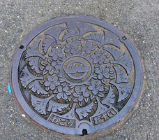 manhole cover