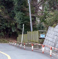 entrance to wooded area